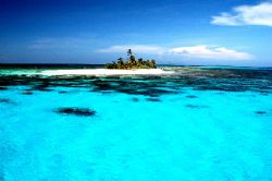 Barbareta, Roatan. by Shawn Jackson 